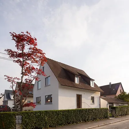 Ulrich 16 *